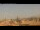 Webcam in Rom, 0.6 km