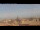 Webcam in Rom, 0 km