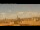 Webcam in Rome, 0.4 mi away