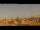 Webcam in Rom, 7.6 km entfernt