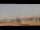 Webcam in Rome, 0.1 mi away