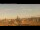 Webcam in Rome, 0.2 mi away