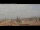 Webcam in Rome, 0.5 mi away