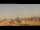 Webcam in Rome, 0.4 mi away