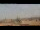 Webcam in Rom, 1.1 km