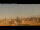 Webcam in Rome, 2.9 mi away