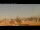 Webcam in Rome, 0 mi away