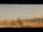 Webcam in Rome, 0.6 km