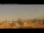 Webcam in Rome, 0.4 mi away