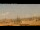 Webcam in Rome, 0.2 mi away