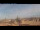 Webcam in Rom, 1.4 km