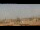 Webcam in Rome, 0.2 mi away