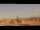 Webcam in Rome, 0.5 mi away