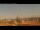 Webcam in Rom, 1 km