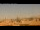 Webcam in Rome, 2.9 mi away