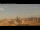 Webcam in Rom, 1.2 km entfernt