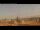 Webcam in Rome, 0.7 mi away