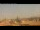 Webcam in Rome, 0.4 mi away