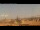 Webcam in Rom, 0.9 km entfernt