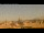 Webcam in Rome, 0.4 mi away