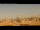 Webcam in Rom, 1.2 km entfernt
