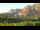Webcam in Sedona, Arizona, 61.6 mi away