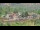 Webcam in Sedona, Arizona, 148.3 km entfernt