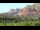 Webcam in Sedona, Arizona, 115.9 km