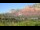 Webcam in Sedona, Arizona, 14.6 km entfernt