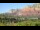 Webcam in Sedona, Arizona, 61.7 mi away