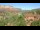 Webcam in Sedona, Arizona, 159.8 km