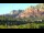 Webcam in Sedona, Arizona, 124 km