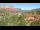 Webcam in Sedona, Arizona, 268.6 km