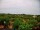 Webcam in Castellana Grotte, 6.9 mi away
