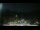 Webcam in Winter Park, Colorado, 68.5 km entfernt