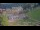 Webcam in Winter Park, Colorado, 61.7 mi away