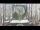 Webcam in Powderhorn Resort, Colorado, 235.5 km