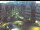Webcam in Tübingen, 7.3 mi away