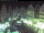 Webcam in Tübingen, 7.3 mi away