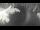 Webcam in Gabsheim, 20.4 km