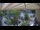 Webcam in Gabsheim, 8.8 mi away