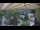 Webcam in Gabsheim, 20.4 km