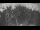 Webcam in Gabsheim, 20.4 km