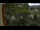 Webcam in Gabsheim, 30.5 km