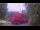 Webcam in Gabsheim, 28.8 km