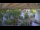 Webcam in Gabsheim, 15.7 mi away