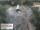 Webcam in Aurach, 8.8 mi away