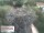 Webcam in Aurach, 18.7 mi away