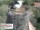 Webcam in Aurach, 40 km entfernt