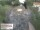 Webcam in Aurach, 4.7 mi away